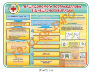 Стенд “Перша допомога постраждалому”