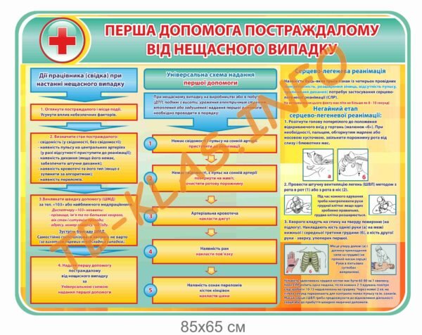 Стенд “Перша допомога постраждалому”