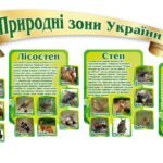 Природні зони України