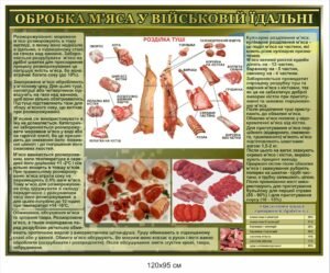 Інформаційний стенд “Обробка м’яса у військовій їдальні”