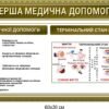 Комплект стендів “Перша медична допомога” 3877