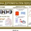 Комплект стендів “Перша медична допомога” 3879