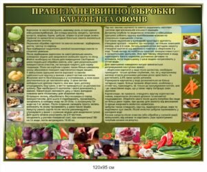 Інформаційний стенд “Правила первинної обробки картоплі та овочів”