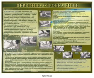 Стенд для військової їдальні “Первинна обробка риби”