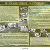 Стенд “Первинна обробка риби”