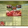 Стенд “Технологія приготування напівфабрикатів”