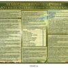 Стенд “Технологія приготування закусок і салатів”