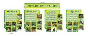 Стенд “Природні зони України”