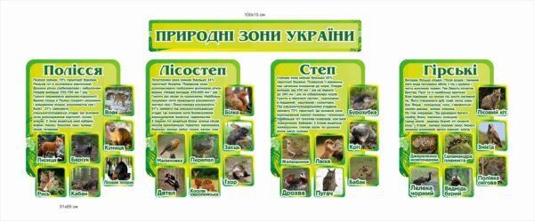 Стенд “Природні зони України”