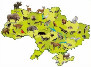 Стенд “Карта тварин України”