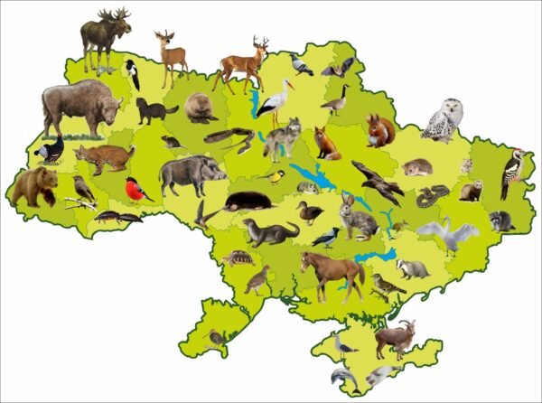 Стенд “Карта тварин України”
