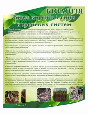 Стенд “Види коренів і типи кореневих систем”