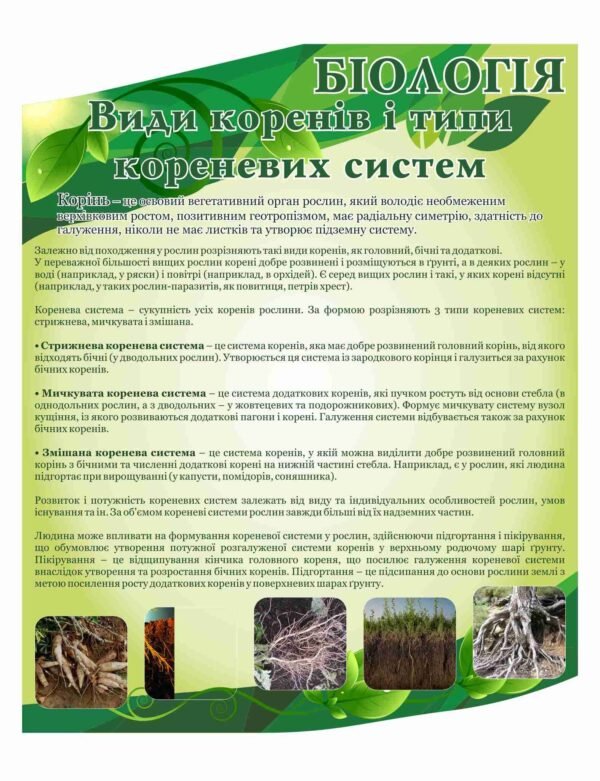 Стенд “Види коренів і типи кореневих систем”