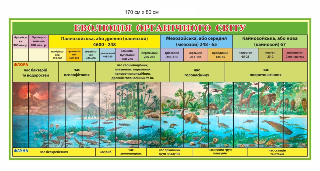 Еволюція органічного світу