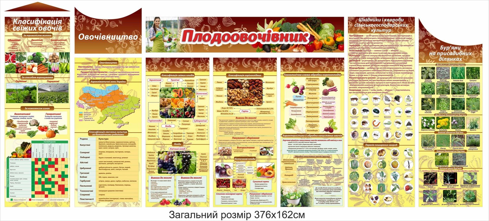 Комплект стендів "Плодоовочевник"