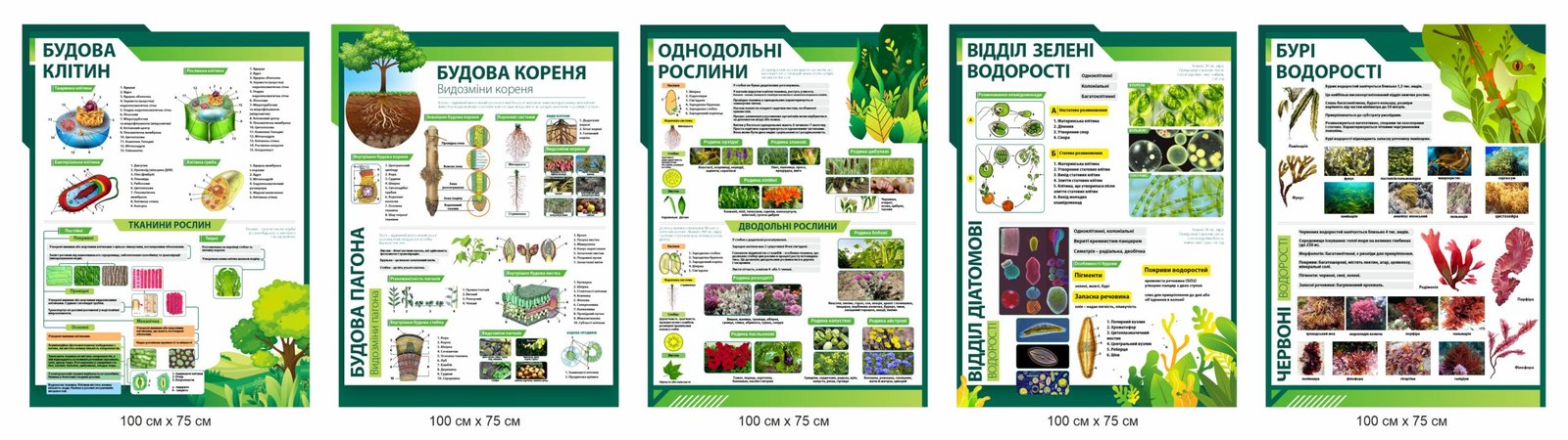 Стенди для оформлення кабінету біології
