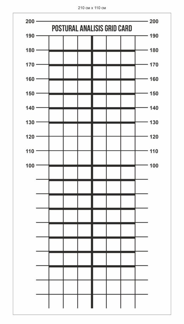 Стенд «Сітка контролю постави»