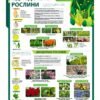 Стенд “Однодольні рослини”