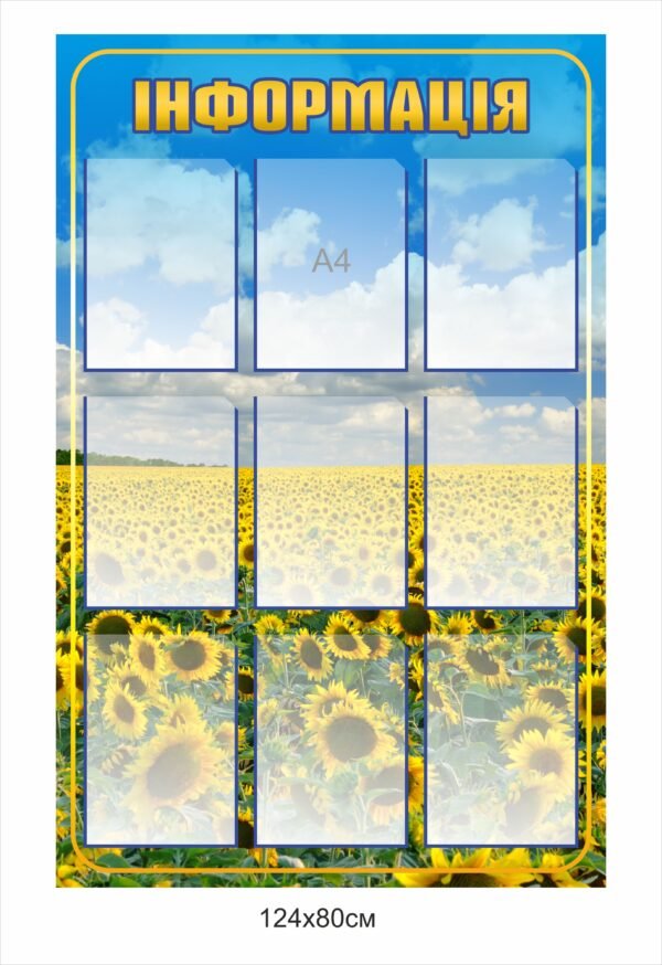 Панель з кишенями “Інформація”