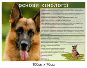 Стенд “Основи кінології”