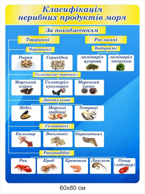 Стенд “Класифікація не рибних морепродуктів”