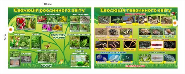 Стенди “Еволюція в природі”