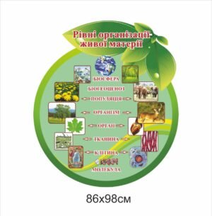 Стенд “Рівні організації живої матерії”