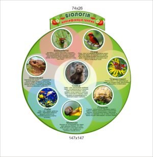 Стенди для кабінету біології “Класифікація тварин”