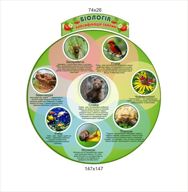 Стенди для кабінету біології “Класифікація тварин”