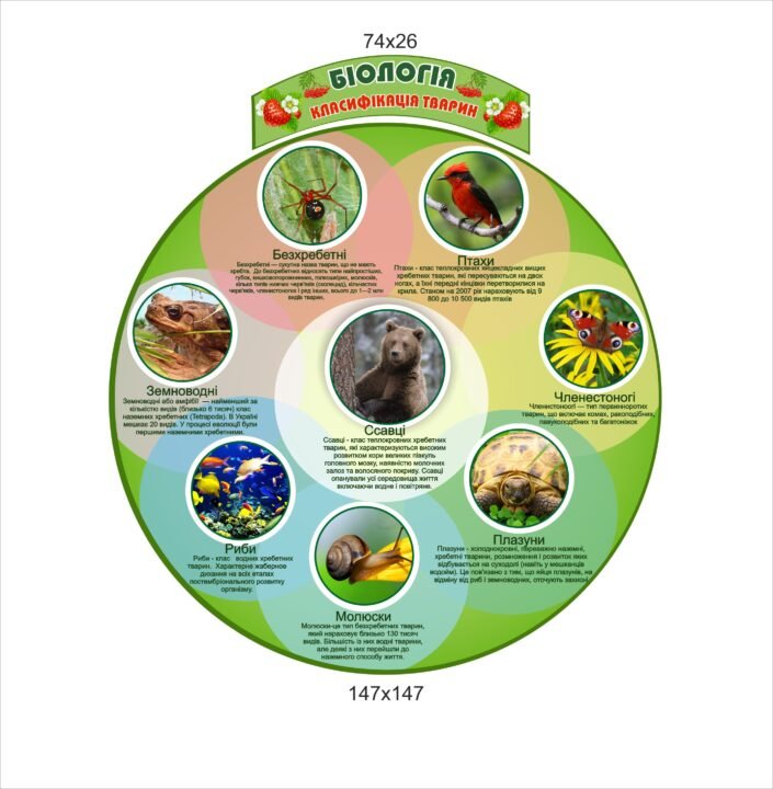 Класифікація тварин