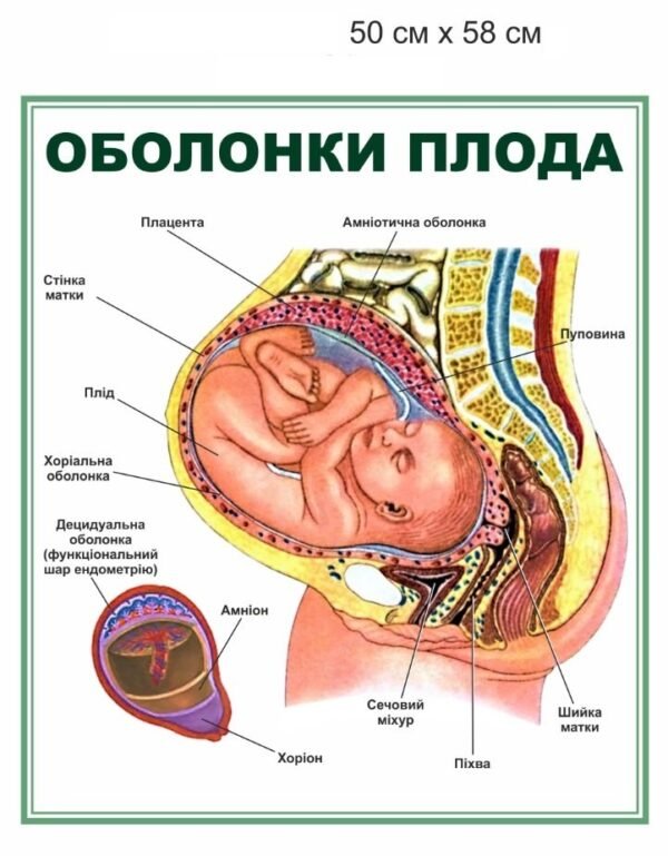 Стенди для ВНЗ, коледжів та ПТУ
