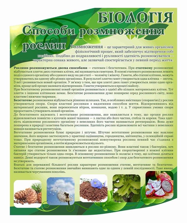 Стенд з біології "Способи розмноження рослин"