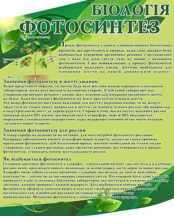 Навчальний стенд "Фотосинтез"